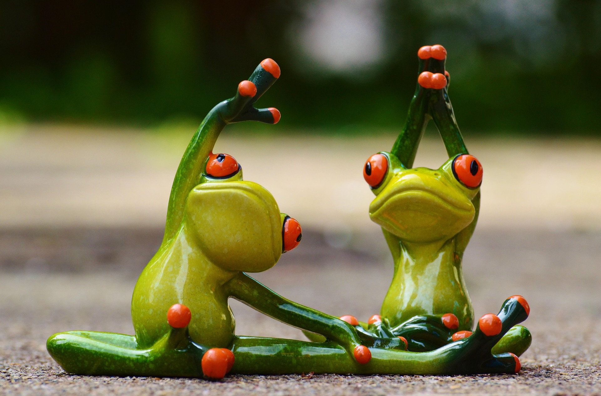 Sri Yoga Clases